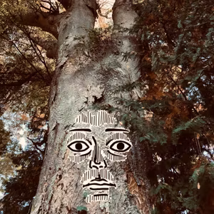 EP67 木霊（Kodama ＝ Tree spirit）