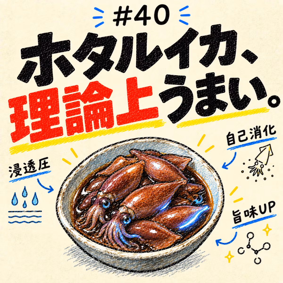 論理的に美味しい食べ物①～ホタルイカの沖漬け～_#040