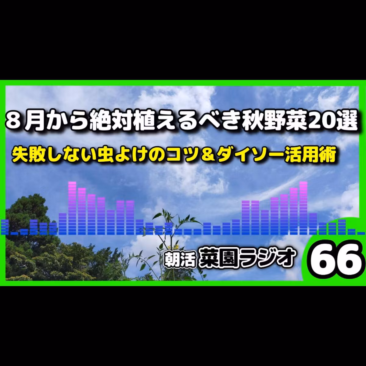 ＜秋野菜20選＞8月・9月に植えないと後悔する野菜と失敗しない害虫対策【朝活菜園ラジオ】
