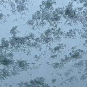 わたしに還るradio 超ゆるゆるライブ　海王星から最近の回収劇から神社トーク