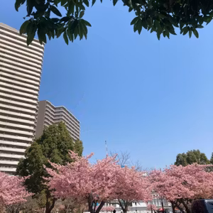#1082  やす@旅好きの人 ライブ73