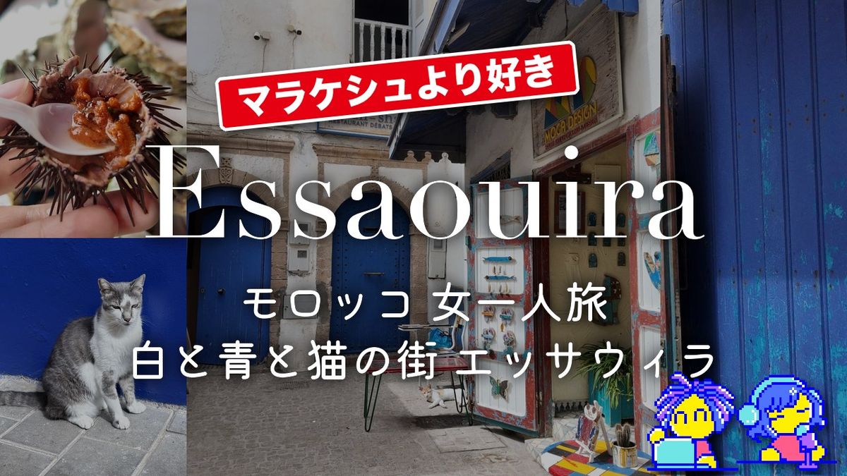 【白と青と猫の街】モロッコ 女一人旅 日帰りエッサウィラ
