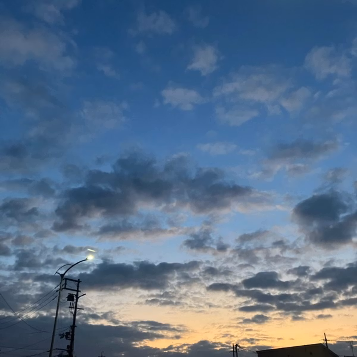 声ログやってみた〜朝さんぽ編〜