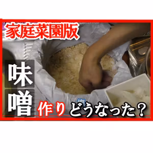 味噌づくりどうなったか忘れていました｜家庭菜園で作った大豆で