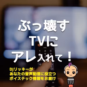 NHKをぶっ壊すTVにつけて欲しいたった１つの機能