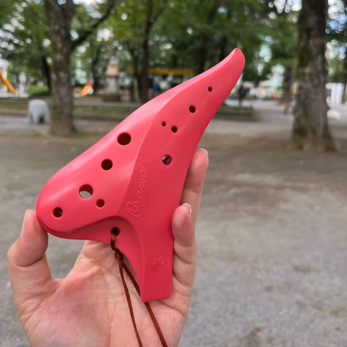 【オカリナ連写】4日目❤️エーデルワイス