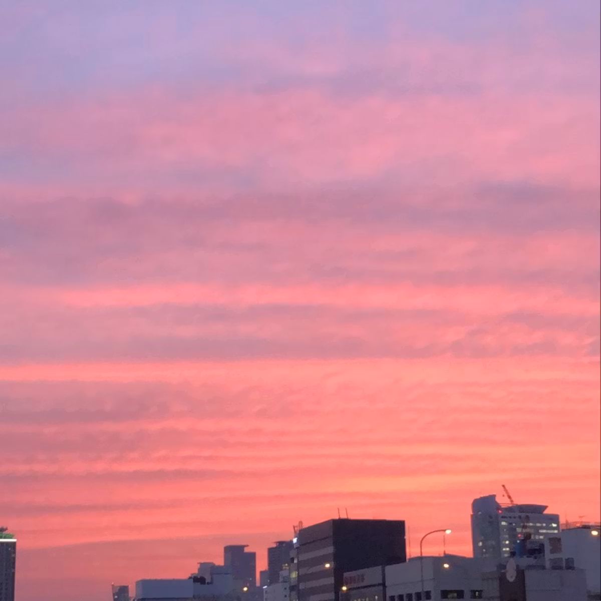呼吸を数える(2倍で吐く)