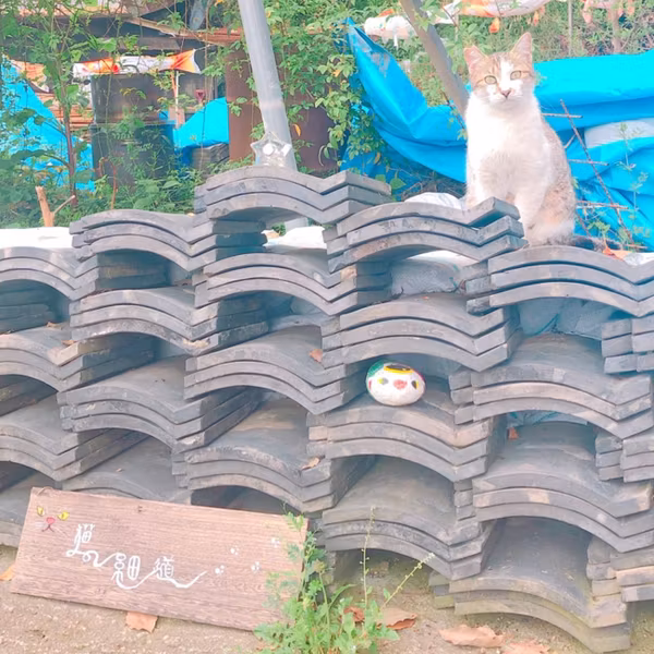 ポジティブに変換できた今日の出来事