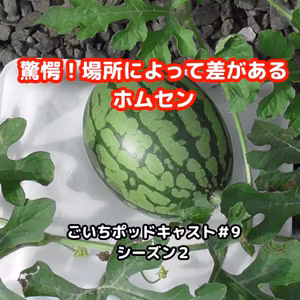 驚愕！場所によって差があるホムセン#9｜ごいち 家庭菜園がおもしろい シーズン２｜Surprise! Homsen that differs depending on the location #podcast