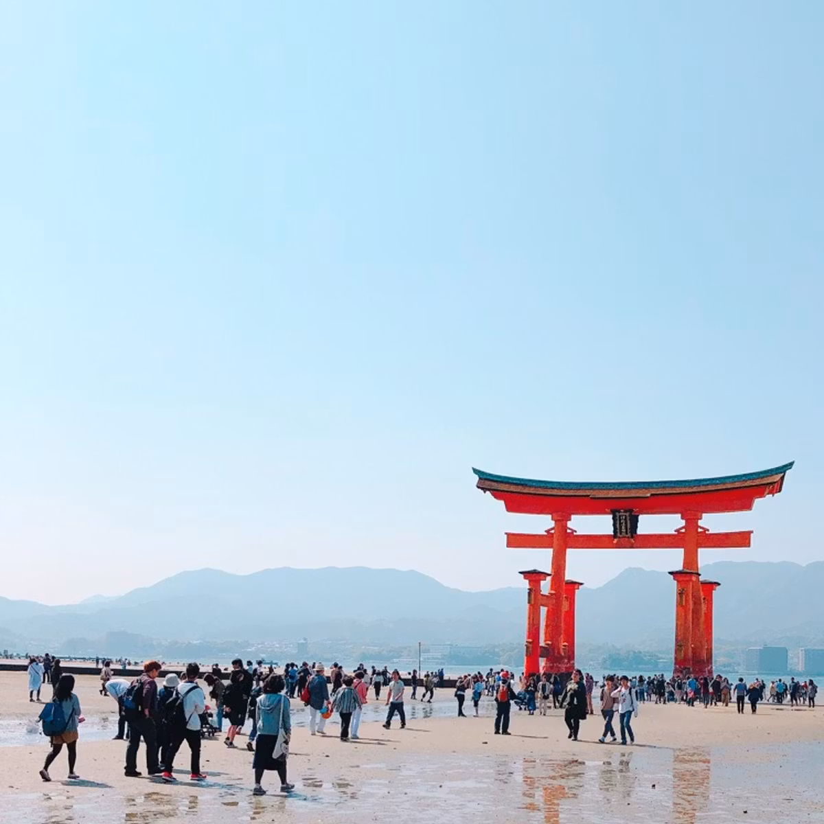 ヨガの完全呼吸法