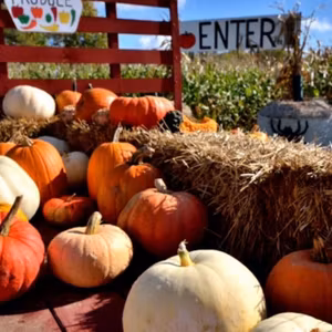 ＃75　インターフォン越しのハッピーハロウィン　日本の住宅街で私が作った“完璧なマニュアル”