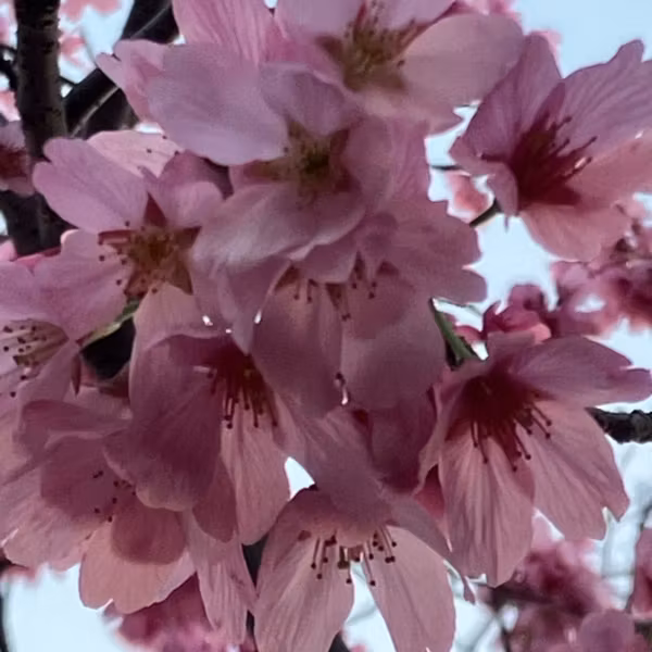 🌸新入社員のみなさんへエール📣😚