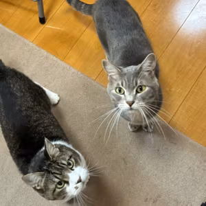 【昼前ライブ】お安いから買う、じゃない世界になってきたねぇ