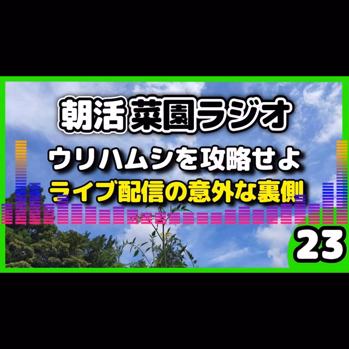 また来た！ウリハムシ対策と、昨日のYouTubeライブを振り返る【朝活菜園ラジオ】