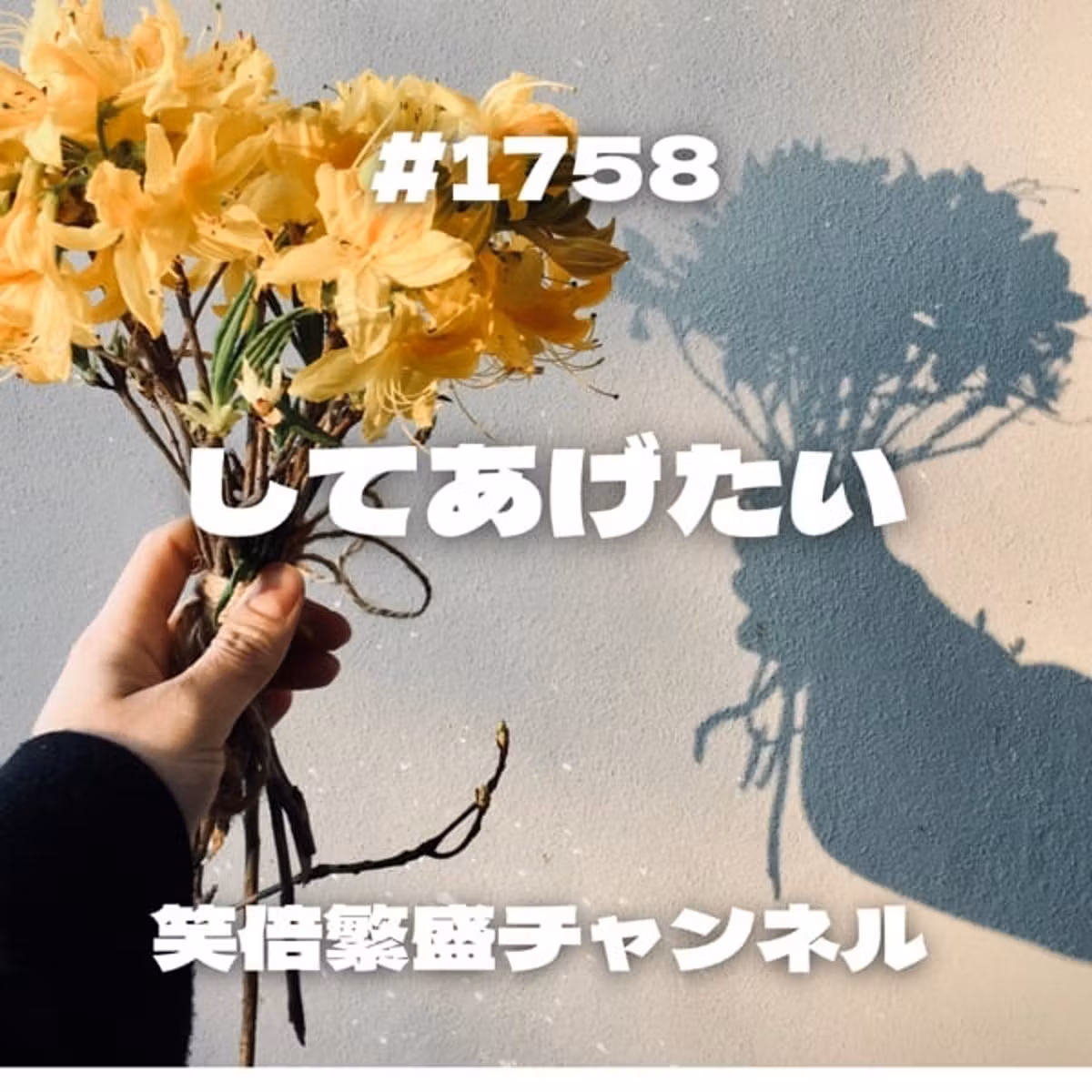 #1758 してあげたい