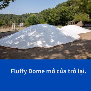 Fluffy Dome mở cửa trở lại.