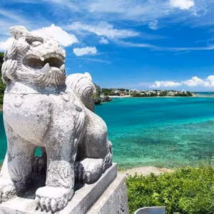 これから沖縄へ避寒🏝️直前爪切りライブ