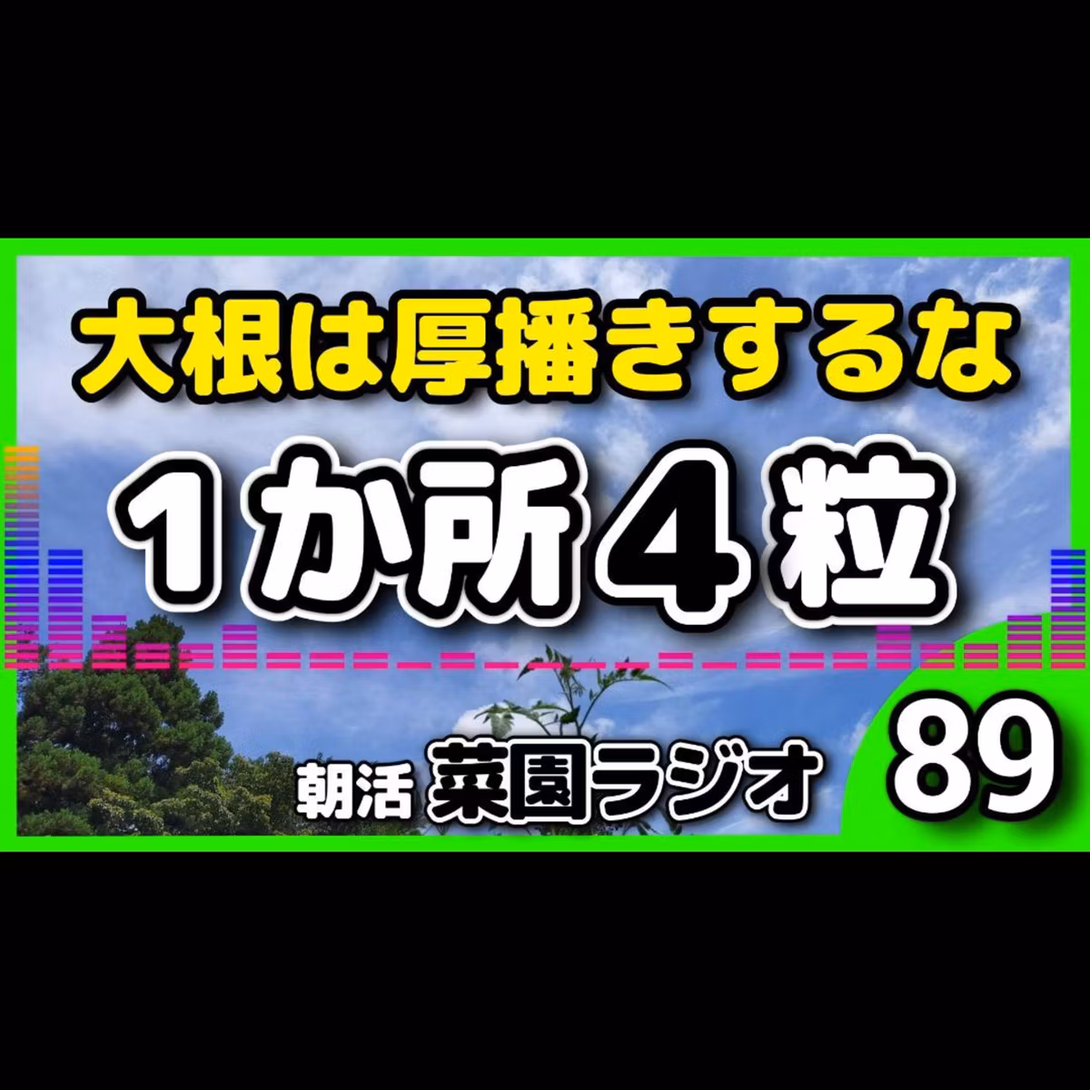 大根を失敗しやすい人は、厚播きしている【朝活菜園ラジオ】