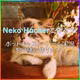 【Neko Hackerと作ろう！】ポッドキャスト、ゲーム実況動画を作りたい！