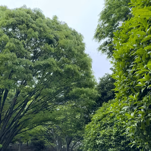 おうちに着くまで雑談ライブ🏠犬のこととか色々。