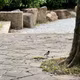 目に見えないものたち
