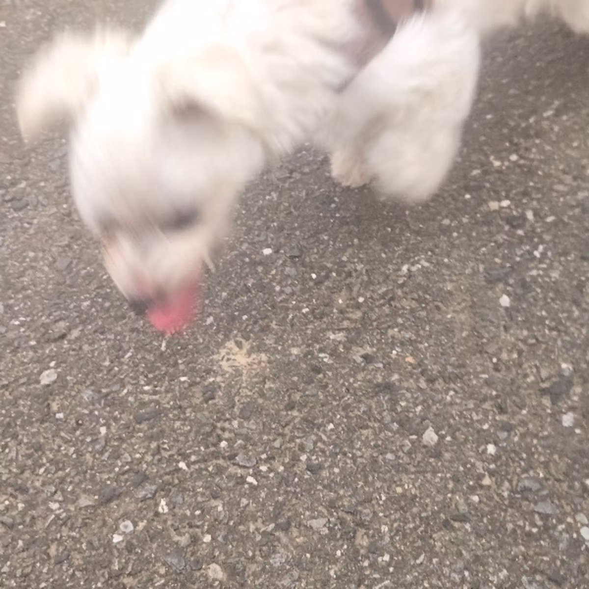 "あなたのほうへ"