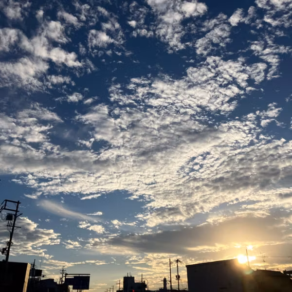 整え100日チャレンジ50日目：朝さんぽ時間に整える