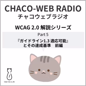 #23 WCAG 2.0 解説シリーズPart5「『ガイドライン1.3 適応可能』とその達成基準 前編」