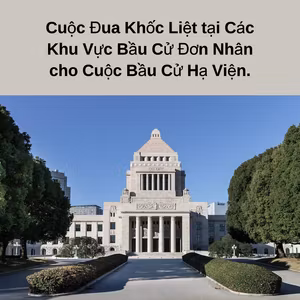 Cuộc Đua Khốc Liệt tại Các Khu Vực Bầu Cử Đơn Nhân cho Cuộc Bầu Cử Hạ Viện.