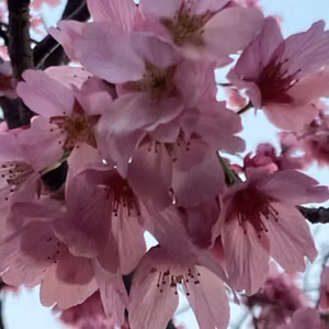 🌸新入社員のみなさんへエール📣😚