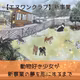 誕生日に寄せて💛《動物好き少女が新事業の夢を形にするまで🐶》スタートです🌟