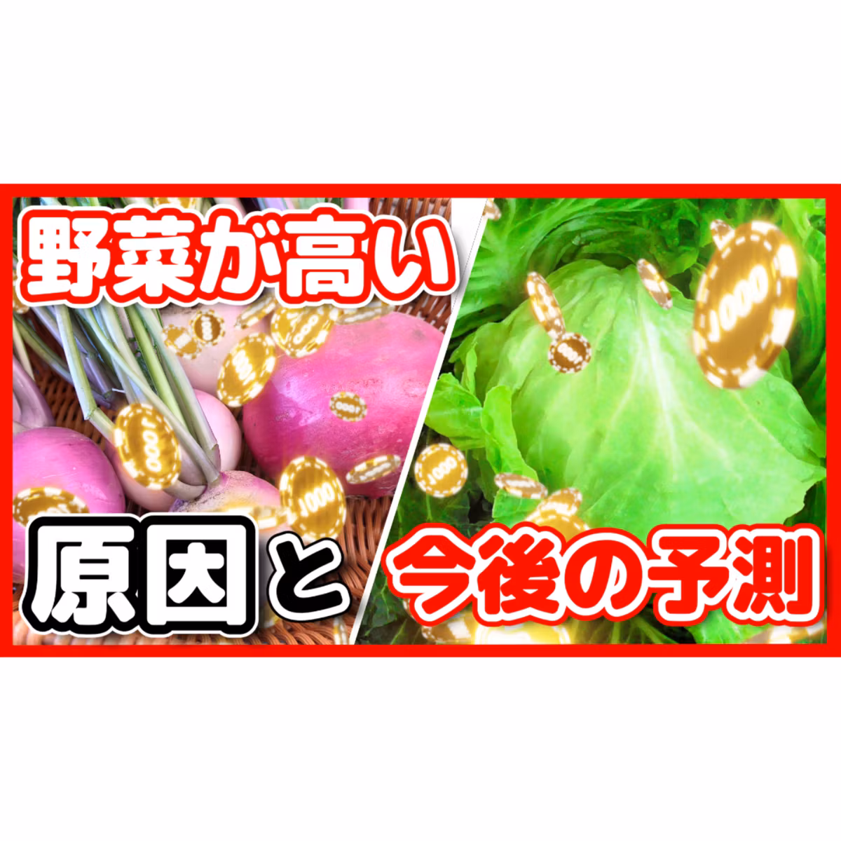 野菜が高い！その原因と今後の予測
