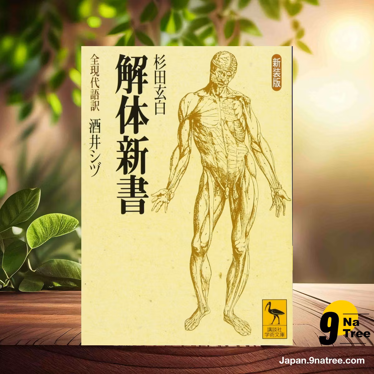                     [レビュー] 新装版 解体新書  (杉田 玄白) 要約した.                