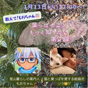 【本日】12:00〜葉っぱコラボ🍃ソラさんとします【告知】