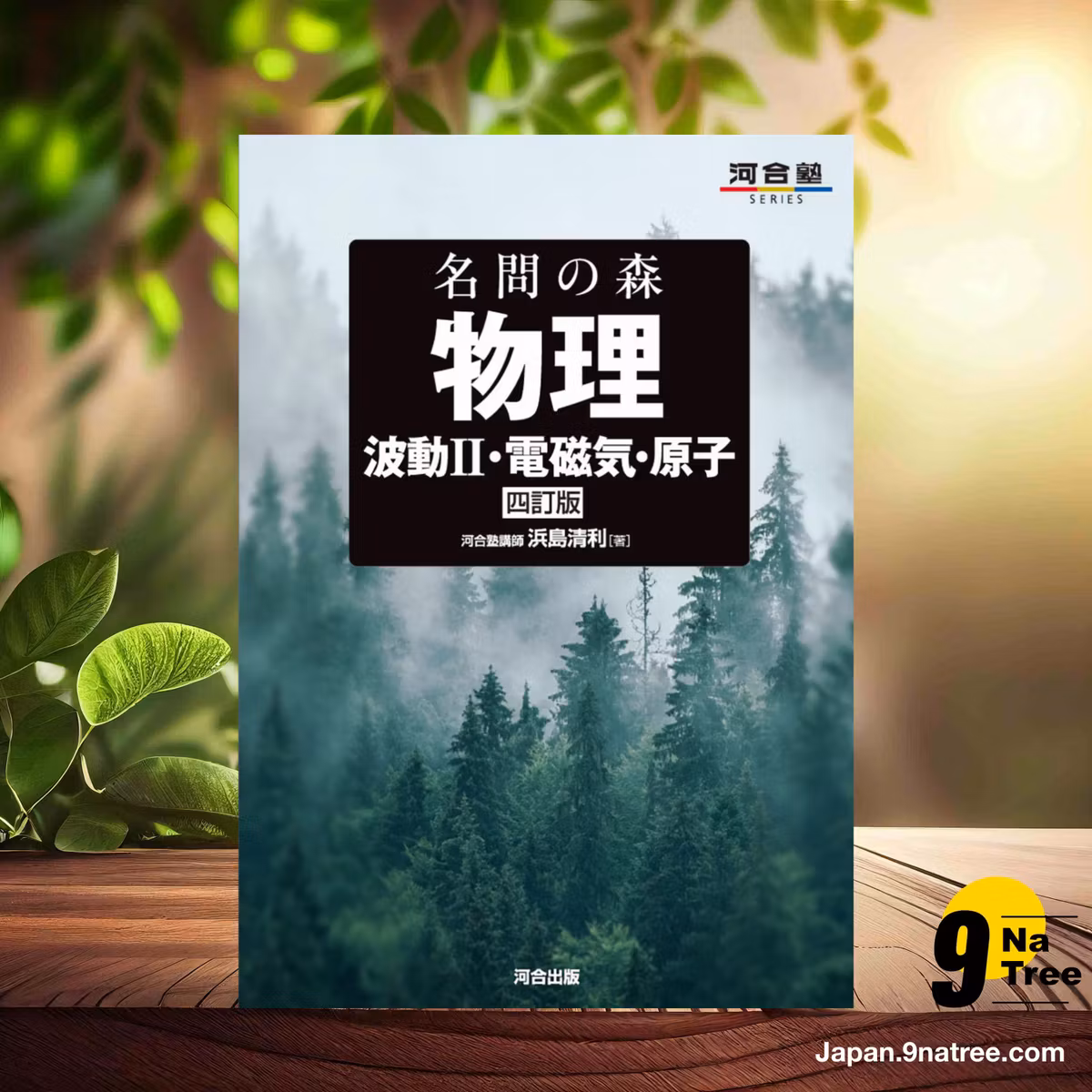                     [レビュー] 名問の森 物理 [波動II・電磁気・原子] 四訂版  (浜島清利) 要約した.                