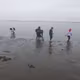 富津海岸で潮干狩り