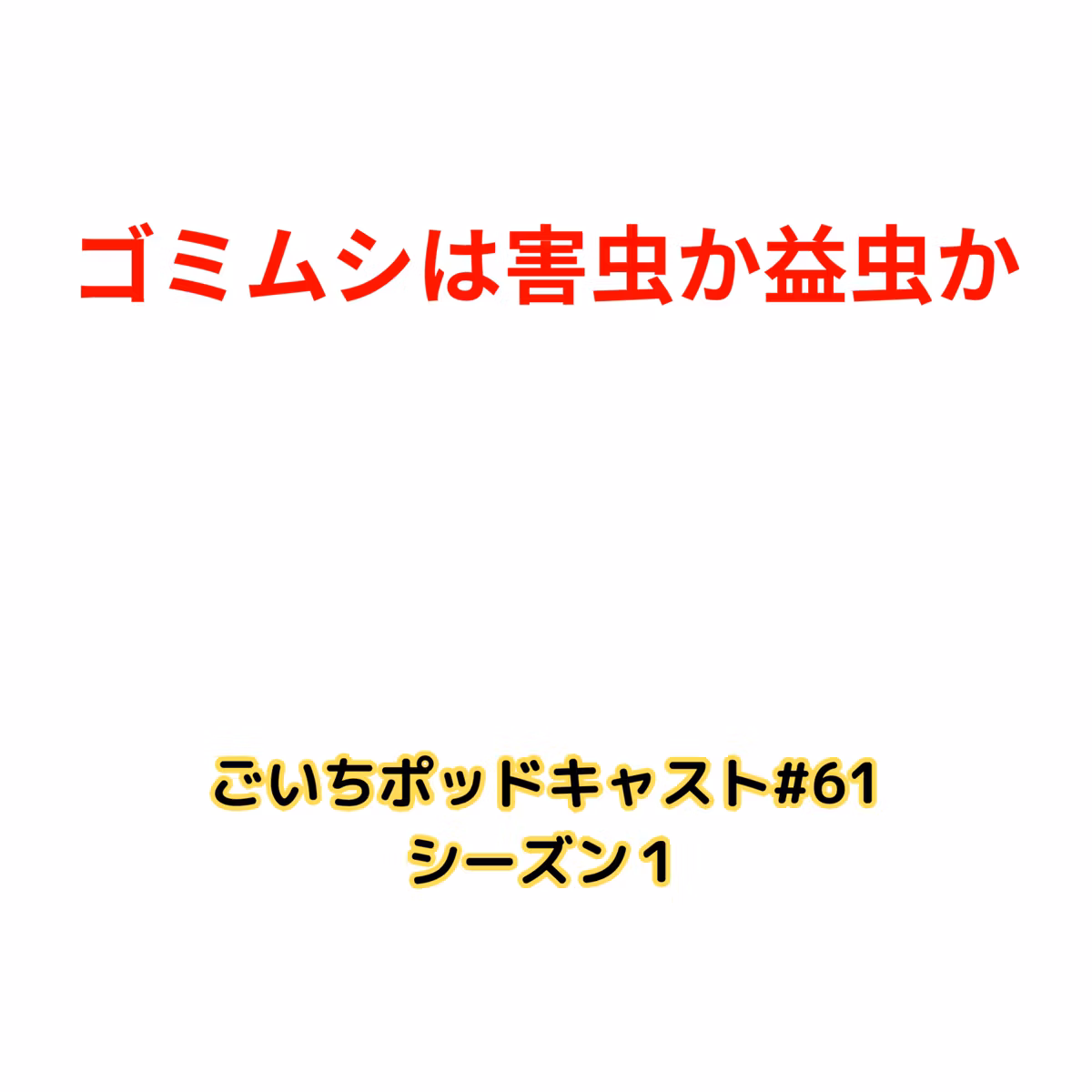 ゴミムシは害虫か益虫か#61｜ごいち 家庭菜園がおもしろい シーズン１