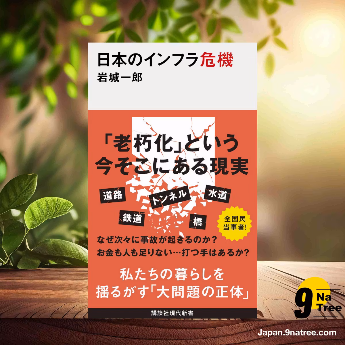                     [レビュー] 日本のインフラ危機  (岩城 一郎) 要約した.                