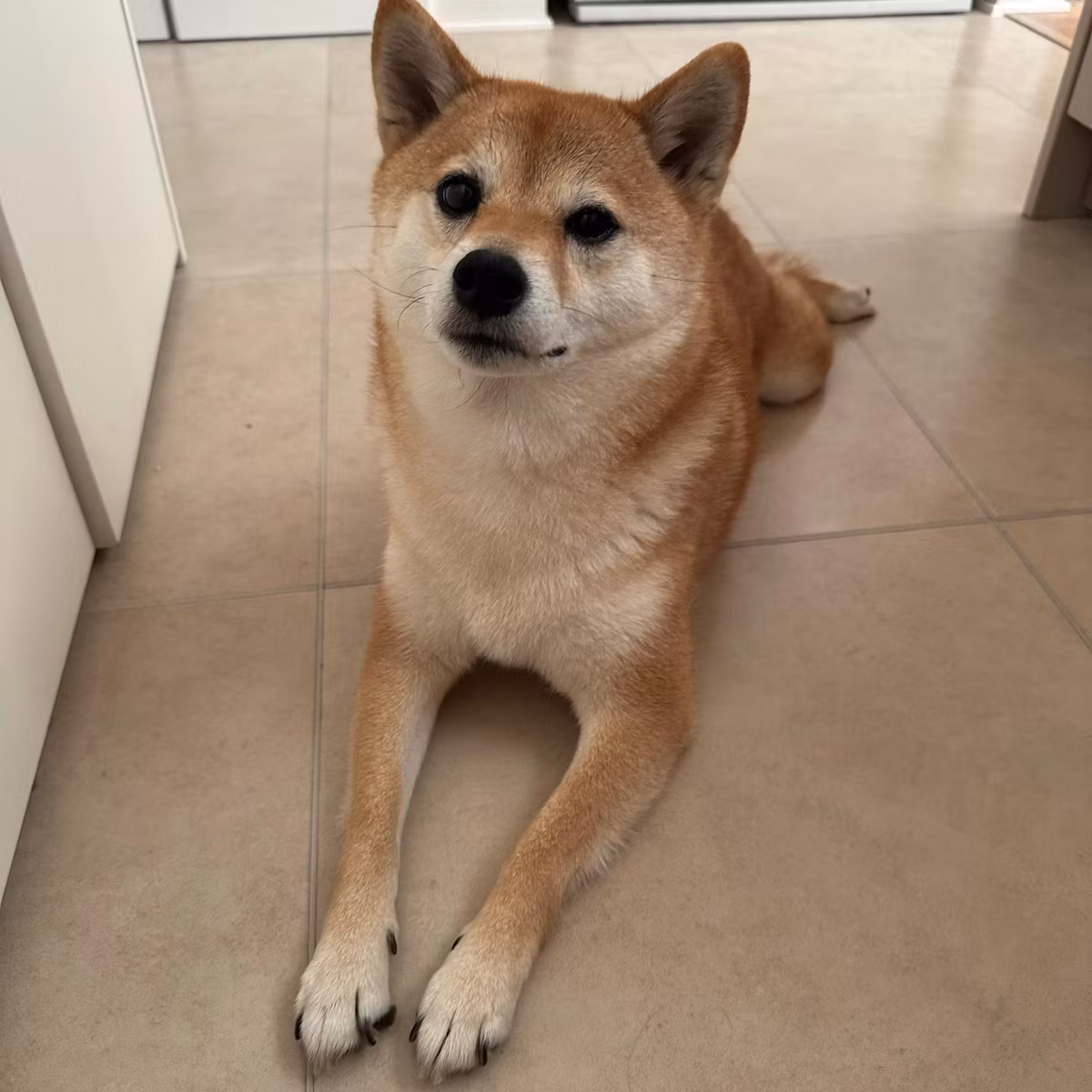 やっと内諾