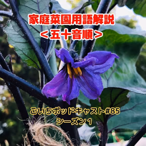 家庭菜園用語解説＜五十音順＞#85｜ごいち 家庭菜園がおもしろい シーズン１｜Glossary of kitchen garden terms  #podcast