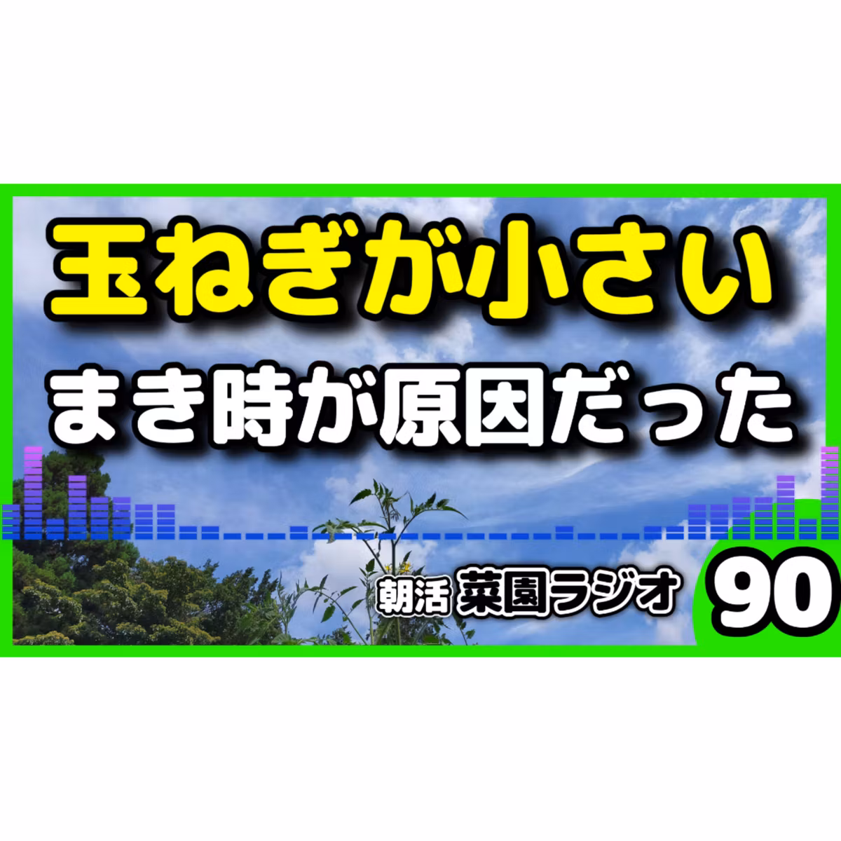 玉ねぎが小さいまま冬を迎える。原因は種まき時期【朝活菜園ラジオ】