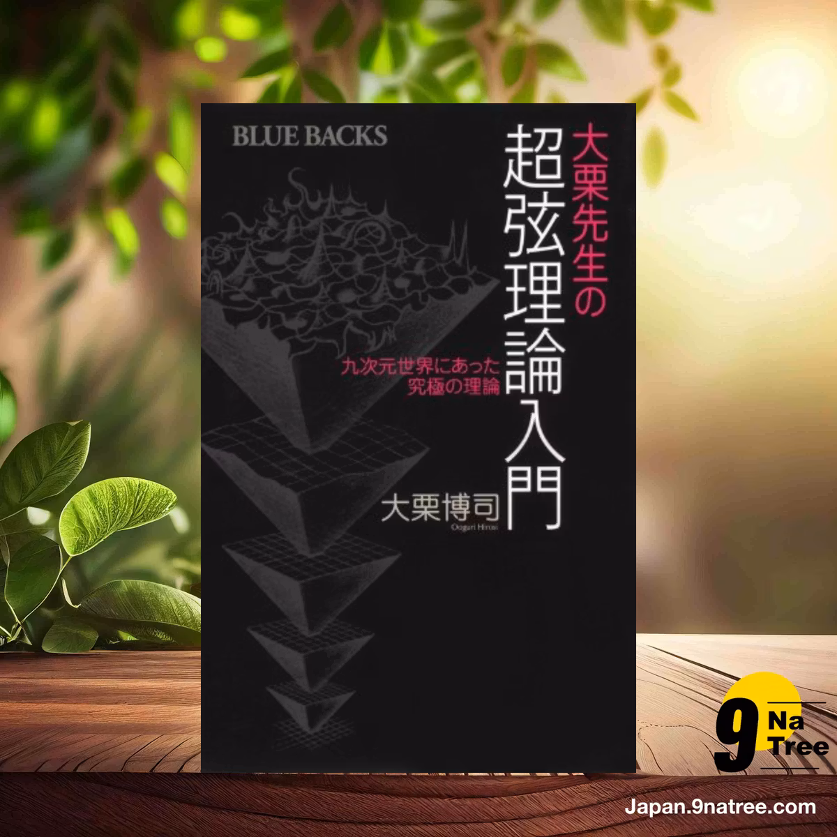                     [レビュー] 大栗先生の超弦理論入門  (大栗 博司) 要約した.                