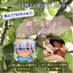【予告】13:00〜ソラにゃんと葉っぱコラボ🍃【来てね】