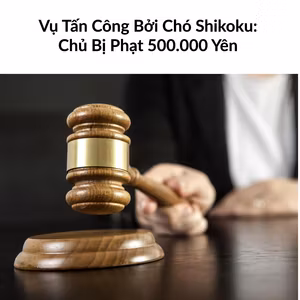 Vụ Tấn Công Bởi Chó Shikoku: Chủ Bị Phạt 500.000 Yên