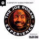 The Joe Rogan Experience