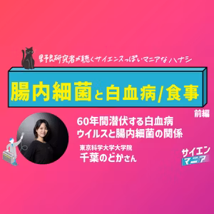 60年間潜伏する白血病ウイルスと腸内細菌の関係【腸内細菌と白血病/食事 前編】#159