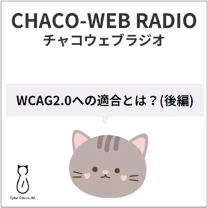 #16 WCAG2.0への適合とは？：後編