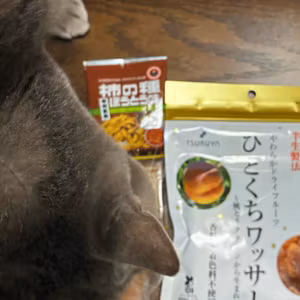【朝ライブ】あんちゃんコラボ振り返りと、名古屋お茶会朝のこと