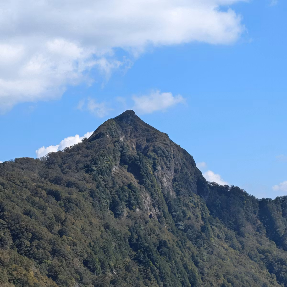 #088　冠山トッキーン