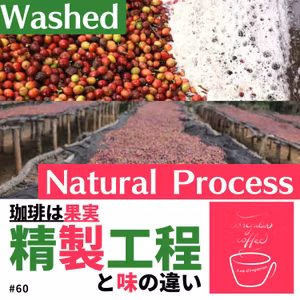 #60 【二大品種・精製】産地別珈琲[2]